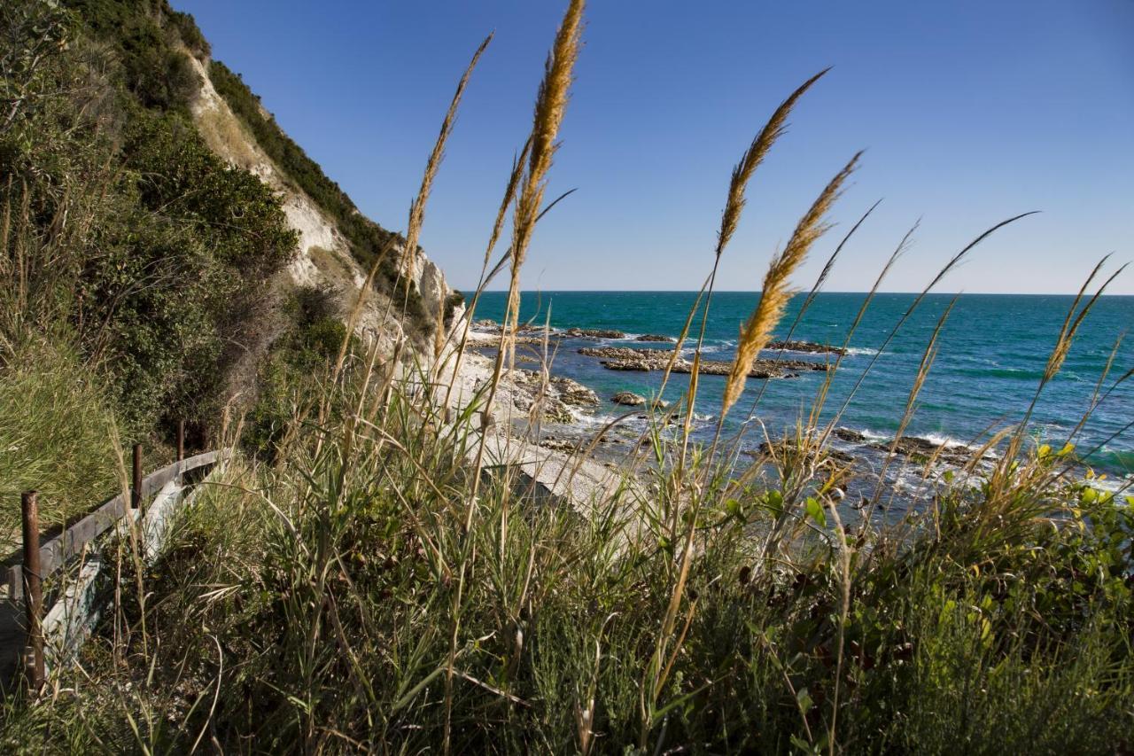 Brezza Del Conero Apartment Ancona Luaran gambar